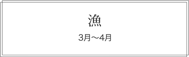 漁 3月〜4月